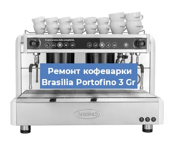 Замена прокладок на кофемашине Brasilia Portofino 3 Gr в Новосибирске